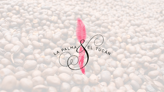 La Palma & El Tucán