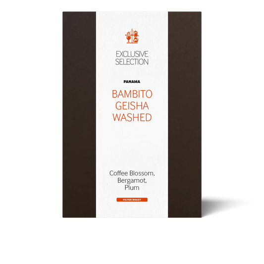 Bambito Geisha Washed