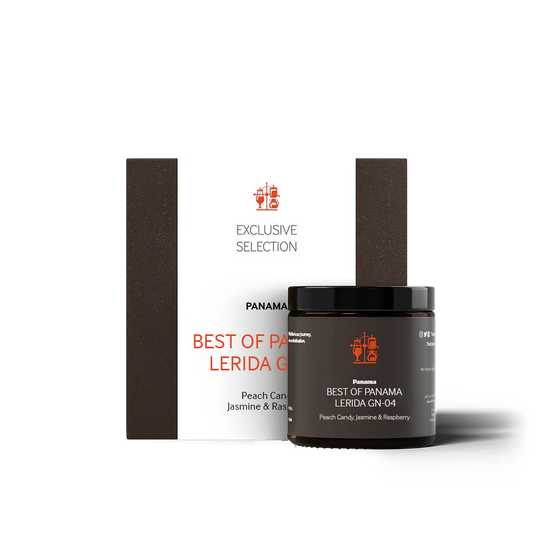 Best Of Panama Lerida GN-04