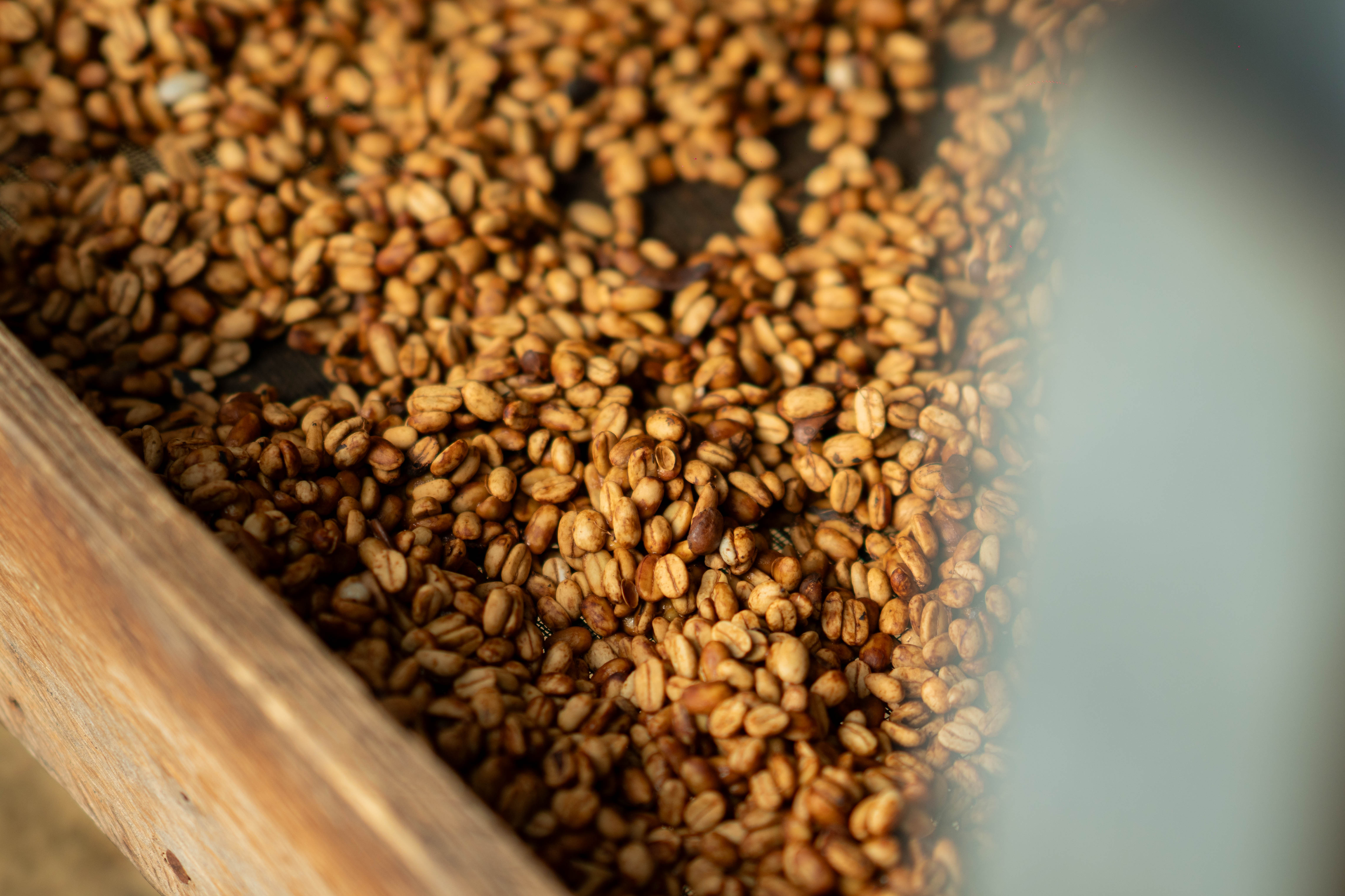 How to Choose the Right Coffee Beans for Your Brewing Method