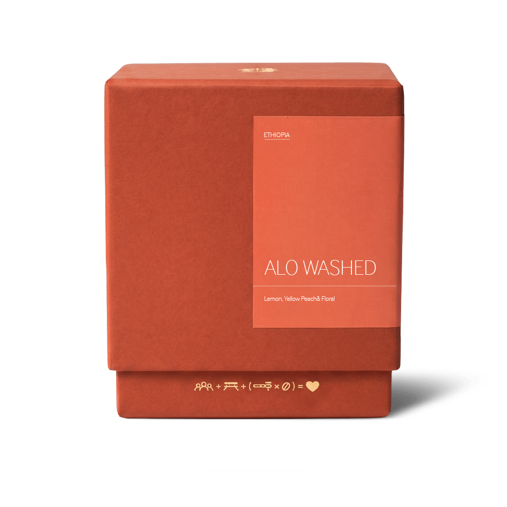 Alo Washed