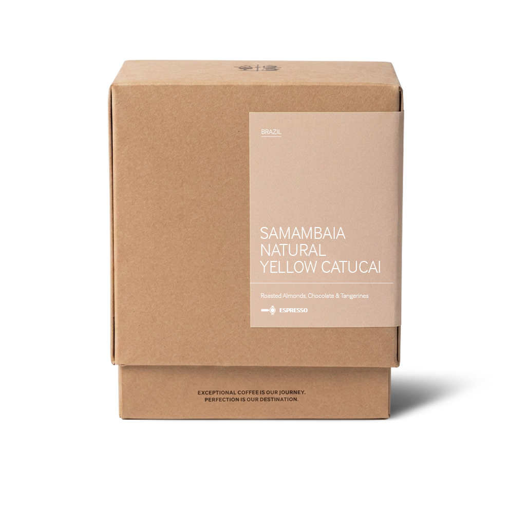 Samambaia Natural Yellow Catucai