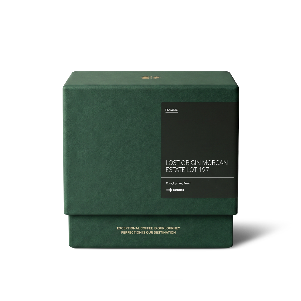 Lost Origin Morgan Estate Lot 197